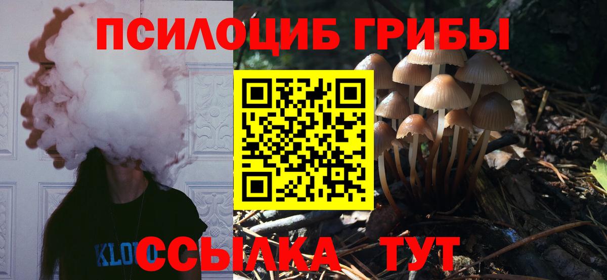 Галлюциногенные грибы GOLDEN TEACHER Крымск